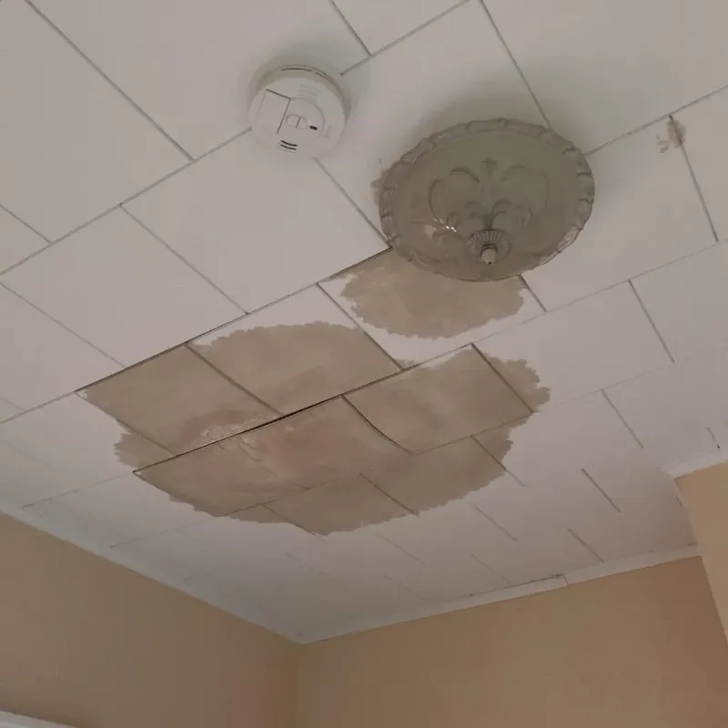 Ceiling Water Damage Repair in Solon, IA