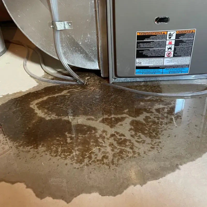 Pipe Burst and Leak Restoration in Solon, IA