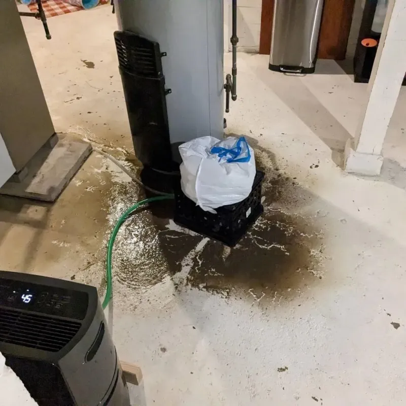Sewage Backup Cleanup Service in Solon, IA